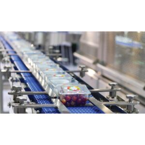 Modular Conveyor Belts